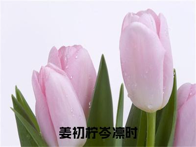 岑凛时姜初柠（姜初柠岑凛时）全文免费阅读大结局_岑凛时姜初柠（姜初柠岑凛时）免费在线阅读_笔趣阁