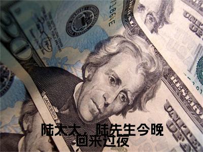 陆太太，陆先生今晚回来过夜（顾南烟陆北城）全文免费阅读无弹窗大结局_陆太太，陆先生今晚回来过夜全文免费阅读最新章节列表_笔趣阁