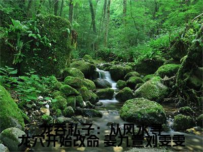 龙吞私子：从风水寻龙穴开始改命（ 姜九萱刘雯雯）精彩小说-小说 姜九萱刘雯雯全文无删减版免费阅读