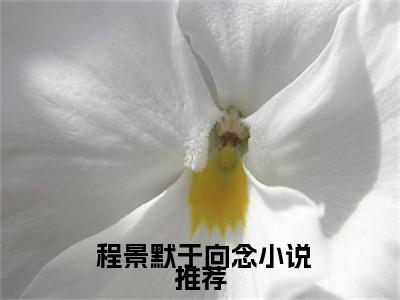  程景默于向念今日更新最新章节 震惊！我军婚的老婆成富婆了在线阅读