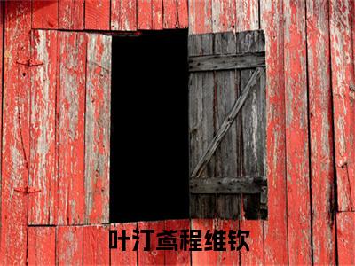 叶汀鸢程维钦全网首发最新小说-程维钦叶汀鸢全文在线免费阅读