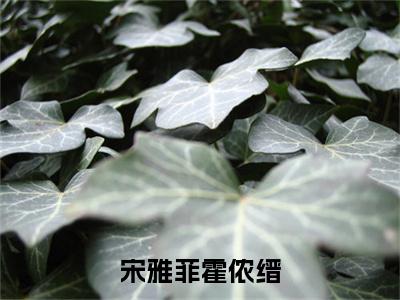 霍侬缙宋雅菲（宋雅菲霍侬缙全文免费）全文免费阅读大结局_（霍侬缙宋雅菲）宋雅菲霍侬缙全文免费阅读无弹窗最新章节列表_笔趣阁（霍侬缙宋雅菲）