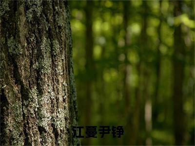 江蔓尹铮（尹铮江蔓）全文免费阅读无弹窗大结局_（江蔓尹铮）最新章节列表_笔趣阁