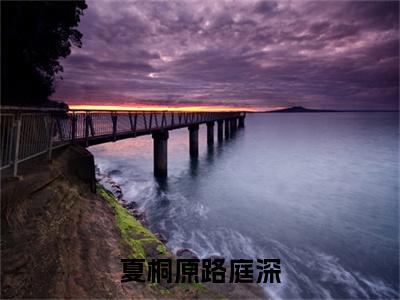 夏桐原路庭深全文免费阅读大结局 路庭深夏桐原最新章节列表