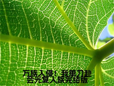 万族入侵！我单刀赴会光复人族小说最新章节（ 陈诺宁瑶）全文免费阅读无弹窗大结局_ 陈诺宁瑶免费阅读（万族入侵！我单刀赴会光复人族小说）