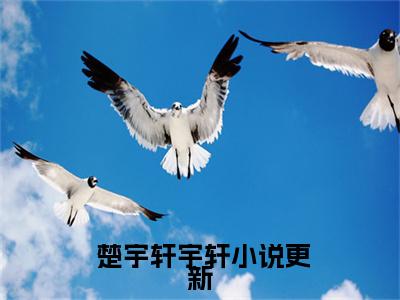 离婚吧！真当我是癞蛤蟆？在线阅读（ 楚宇轩宇轩）全文无弹窗大结局_ 楚宇轩宇轩全文在线阅读无弹窗