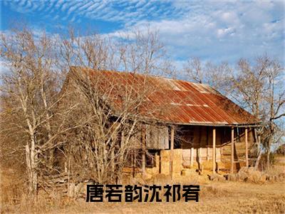 唐若韵沈祁宥（沈祁宥唐若韵最新章节）在线阅读-免费小说唐若韵沈祁宥全文阅读