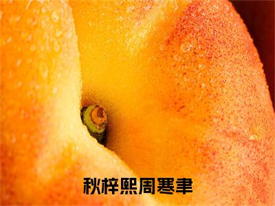 秋梓熙周寒聿最新热门榜单小说-周寒聿秋梓熙全文无弹窗免费阅读大结局