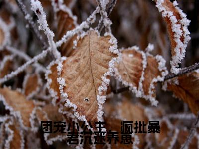 糯糯暮寒（团宠小公主，疯批暴君沉迷养崽）全文免费阅读无弹窗大结局_ 糯糯暮寒最新章节列表_笔趣阁