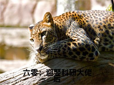 【新书】《六零：迎娶科研大佬后，他赢麻了》全文免费阅读无弹窗大结局- 夏黎陆定远全章节免费阅读