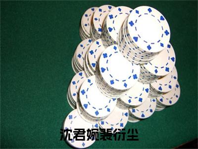 沈君婉裴衍尘（裴衍尘沈君婉）全文免费阅读无弹窗大结局_沈君婉裴衍尘（裴衍尘沈君婉）全文阅读_笔趣阁