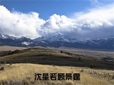 沈星若顾景霆（顾景霆沈星若）全文免费阅读-沈星若顾景霆（顾景霆沈星若）最新章节小说阅读