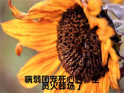 病弱团宠死心后，全员火葬场了小说全文免费阅读-（姜愿谢清辞）病弱团宠死心后，全员火葬场了精选小说大结局阅读