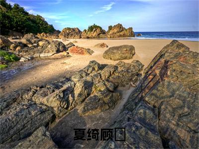 夏绮顾垚（顾垚夏绮）全文免费阅读无弹窗大结局_夏绮顾垚最新章节列表-笔趣阁顾垚夏绮