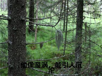 他像漩涡，能引人沉沦（裴沥行宋伊）全文免费阅读无弹窗大结局_他像漩涡，能引人沉沦最新章节列表