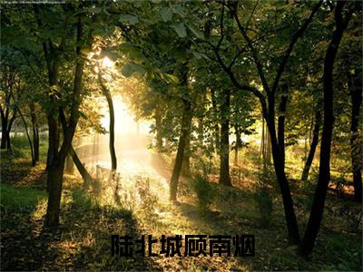 陆北城顾南烟全文免费阅读无弹窗大结局_顾南烟陆北城无弹窗全文阅读