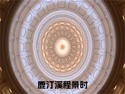 程景时鹿汀溪小说全文无删减-程景时鹿汀溪小说大结局免费阅读