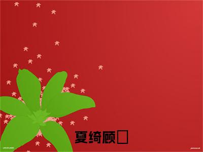 顾垚夏绮小说免费阅读无弹窗《夏绮顾垚》_夏绮顾垚全文阅读顾垚夏绮