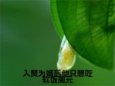  周元赵蒹葭小说在线阅读（入赘为婿后他只想吃软饭周元）全文免费阅读无弹窗大结局_ 周元赵蒹葭小说免费最新章节列表_笔趣阁（入赘为婿后他只想吃软饭周元）