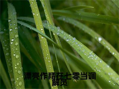 漂亮作精在七零当调解员（姜安安高秀华）最新免费阅读-漂亮作精在七零当调解员小说在线阅读