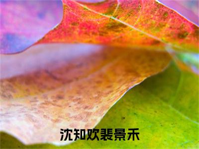 沈知欢裴景禾沈知欢裴景禾全文免费阅读无弹窗大结局_沈知欢裴景禾小说免费阅读