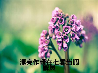 漂亮作精在七零当调解员全本小说无弹窗阅读-漂亮作精在七零当调解员（姜安安高秀华）精彩热门小说