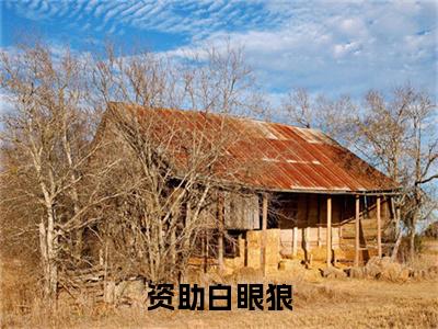 资助白眼狼全文(郭甜甜赵欣欣)全文免费阅读无弹窗大结局_ 郭甜甜赵欣欣全文免费阅读最新章节列表_