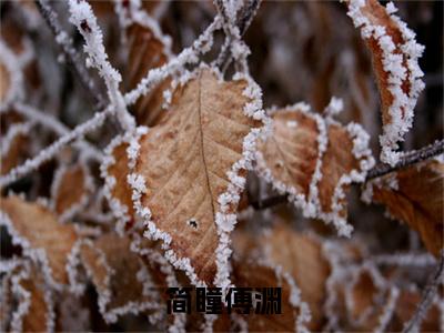 简瞳傅渊(傅渊简瞳)抖音热推小说全集无删减_(傅渊简瞳免费阅读全文大结局)最新章节列表_笔趣阁