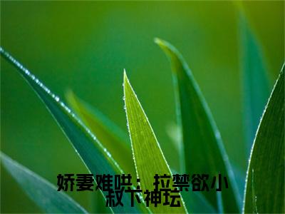 江稚鱼时雨寒（娇妻难哄：拉禁欲小叔下神坛）小说结局-江稚鱼时雨寒全文无弹窗阅读