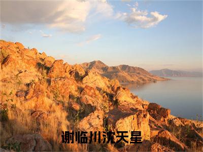 谢临川沈天星（沈天星谢临川）全文免费阅读无弹窗-沈天星谢临川小说完整版在线阅读