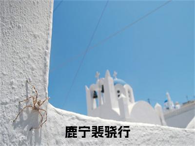 裴骁行鹿宁（鹿宁裴骁行）全文免费阅读无弹窗大结局_裴骁行鹿宁免费最新章节列表_笔趣阁