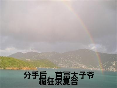 分手后，首富太子爷疯狂求复合（陆风晴霍怀安）免费阅读-小说（分手后，首富太子爷疯狂求复合）陆风晴霍怀安全文阅读