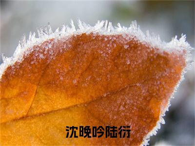 陆衍沈晚吟（沈晚吟陆衍）免费小说-（沈晚吟陆衍）完结版在线阅读