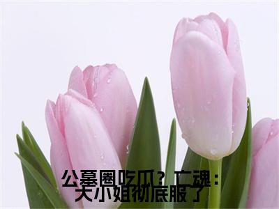 公墓圈吃瓜？亡魂：大小姐彻底服了（ 唐晓婉江南姝）全文小说免费阅读_（ 唐晓婉江南姝）公墓圈吃瓜？亡魂：大小姐彻底服了最新章节列表_笔趣阁（公墓圈吃瓜？亡魂：大小姐彻底服了）