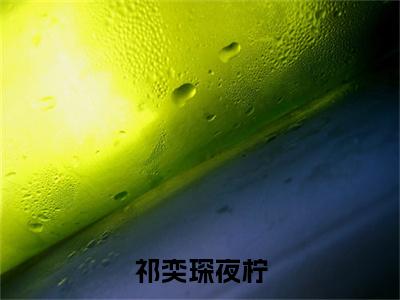 祁奕琛夜柠(夜柠祁奕琛)全文免费阅读无弹窗大结局_(祁奕琛夜柠免费阅读全文大结局)最新章节列表_笔趣阁（夜柠祁奕琛）