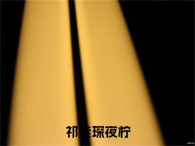 祁奕琛夜柠小说（夜柠祁奕琛）全文免费祁奕琛夜柠阅读无弹窗大结局-（夜柠祁奕琛）笔趣阁