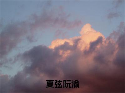 阮渝夏弦小说在线阅读全文无弹窗_夏弦阮渝小说最新全文完整无删减版