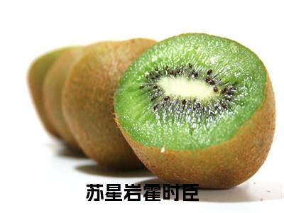 苏星岩霍时臣(霍时臣苏星岩后续)全文免费阅读无弹窗大结局_(霍时臣苏星岩后续免费阅读全文大结局)最新章节列表_笔趣阁（苏星岩霍时臣）