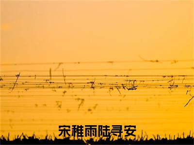 陆寻安宋稚雨宋稚雨陆寻安小说全文免费阅读_宋稚雨陆寻安（陆寻安宋稚雨）最新章节列表笔趣阁