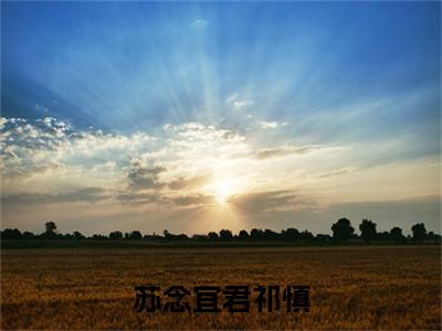 热门小说君祁慎苏念宜全文免费阅读无弹窗大结局-苏念宜君祁慎全文无弹窗免费阅读大结局