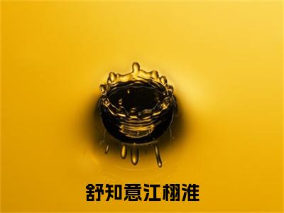 舒知意江栩淮江栩淮舒知意免费小说 江栩淮舒知意全文无弹窗完整版阅读