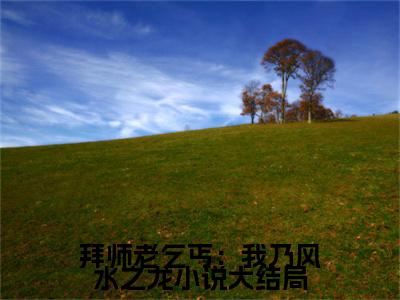  陈启林苏荷（拜师老乞丐：我乃风水之龙）全文免费阅读无弹窗大结局_  陈启林苏荷最新章节列表_笔趣阁