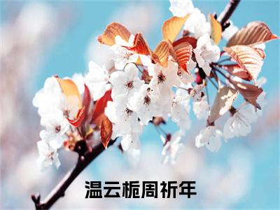 温云栀周祈年（周祈年温云栀）全文免费阅读无弹窗_（周祈年温云栀的小说全文免费阅读）温云栀周祈年小说最新章节列表无删减_笔趣阁