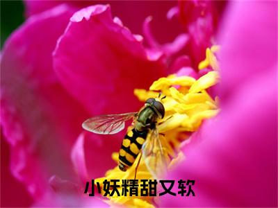 小妖精甜又软，禁欲律师把持不住全文免费完整版-小说小妖精甜又软，禁欲律师把持不住（ 赫泓峥苏茗薇）已完结全集大结局