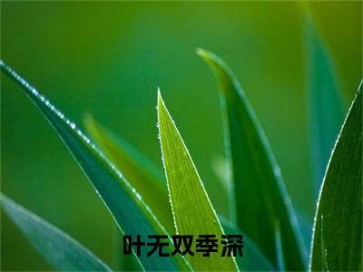 叶无双季深（季深叶无双）小说全文免费阅读_（季深叶无双）小说全文无删减版在线阅读