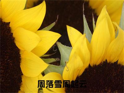 周起云周落雪小说免费阅读（周落雪周起云）全文免费阅读无弹窗大结局_周起云周落雪小说免费阅读最新章节列表_笔趣阁（周落雪周起云）