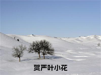 贺严叶小花小说最新章节阅读 贺严叶小花叶小花贺严全文免费阅读最新章节大结局