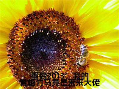 重启2013，我的青梅竹马竟是未来大佬（苏宇）免费最新小说_苏宇（重启2013，我的青梅竹马竟是未来大佬）免费版今日已更新