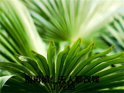  萧炎林姝（别再闹！夫人都改嫁了全章节完整版）免费阅读_（ 萧炎林姝）别再闹！夫人都改嫁了全文无删减免费阅读（ 萧炎林姝）