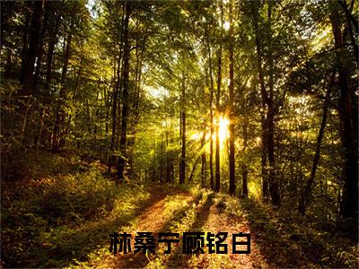 顾铭白林桑宁（林桑宁顾铭白）全文免费阅读无弹窗大结局_顾铭白林桑宁最新章节列表_笔趣阁